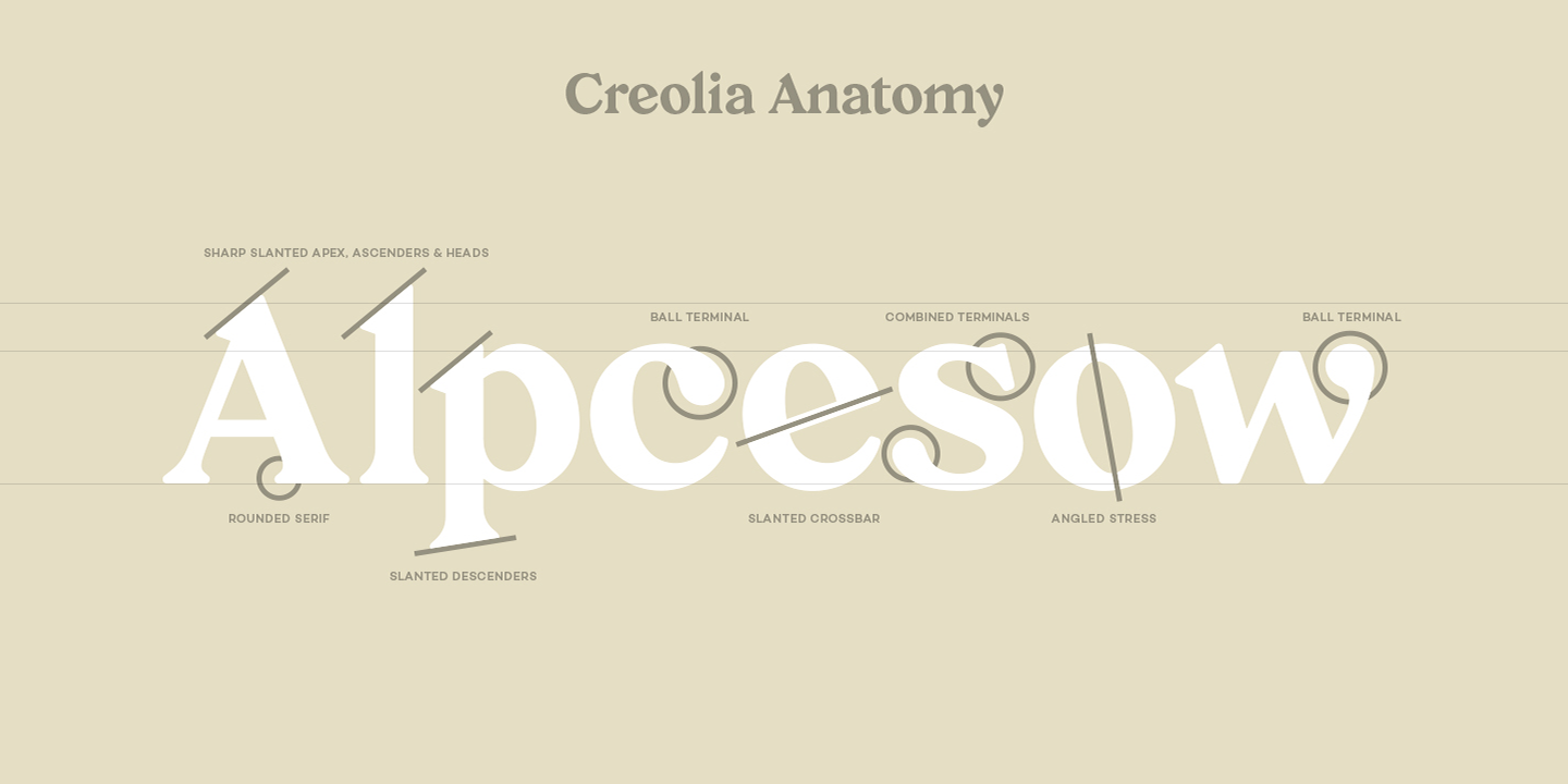 Пример шрифта Creolia #5